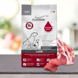 Platinum Adult Lamb & Rice 30kg