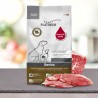 Platinum Adult Iberico & Greens 20kg