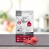 Platinum Adult Lamb & Rice Mini, hrană uscată pentru câini adulți
